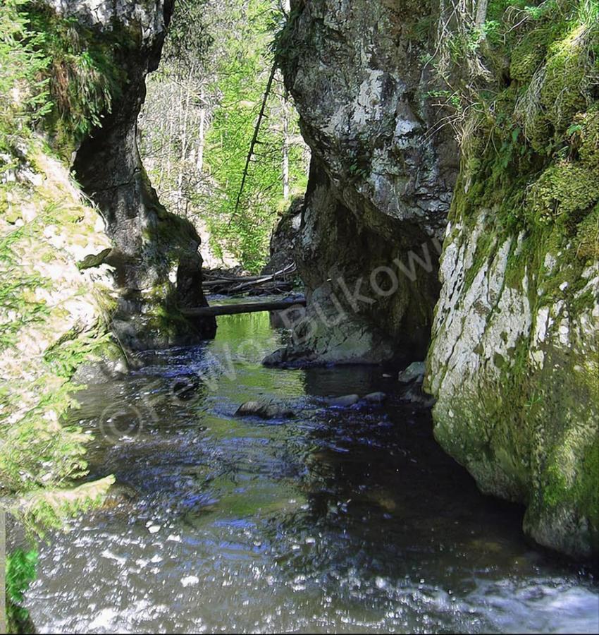Fewo Bukowina Waldshut-Tiengen Exterior photo